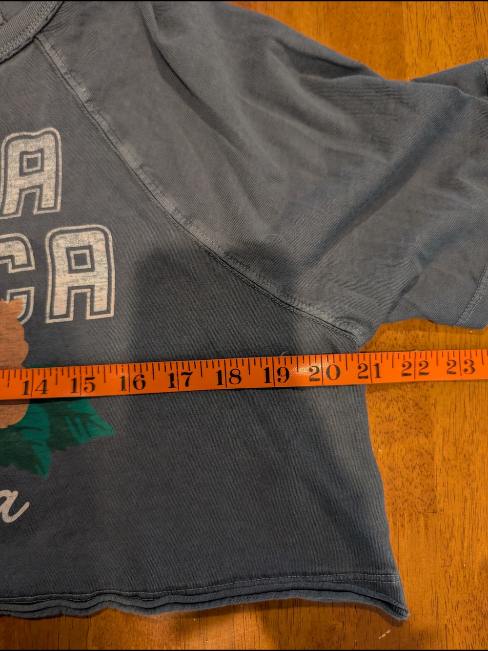 Aeropostale Gray "Santa Monica" Oversized Crop Top with Floral Accent - Picture 6 of 7